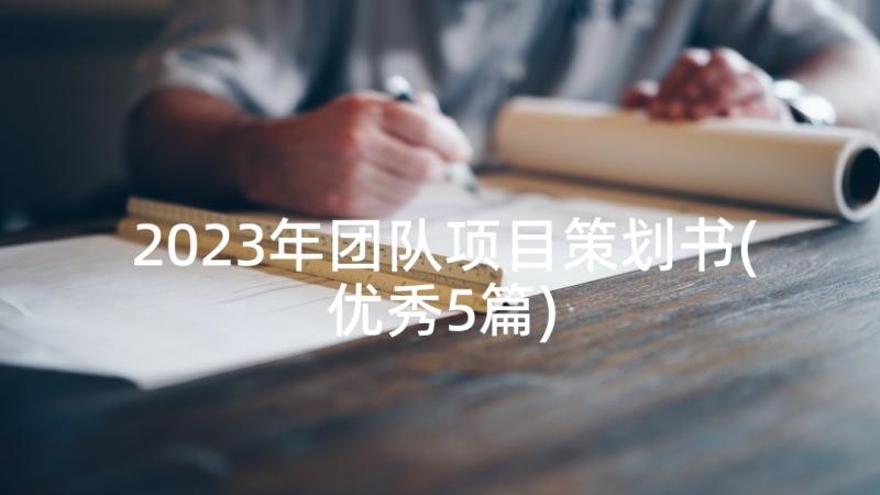 2023年团队项目策划书(优秀5篇)