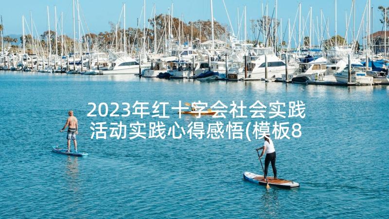 2023年红十字会社会实践活动实践心得感悟(模板8篇)