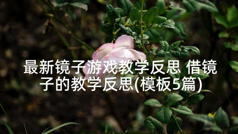 最新镜子游戏教学反思 借镜子的教学反思(模板5篇)