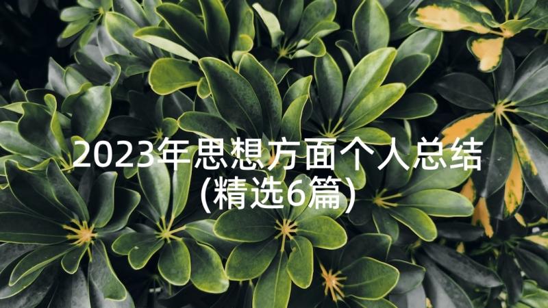 2023年思想方面个人总结(精选6篇)