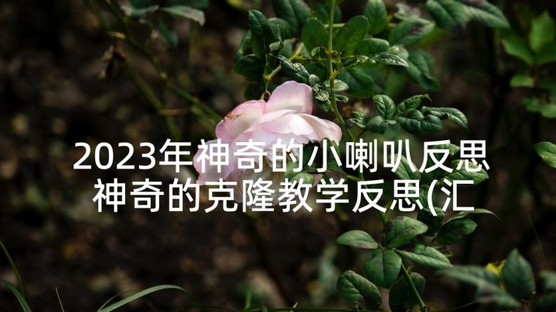 2023年神奇的小喇叭反思 神奇的克隆教学反思(汇总6篇)