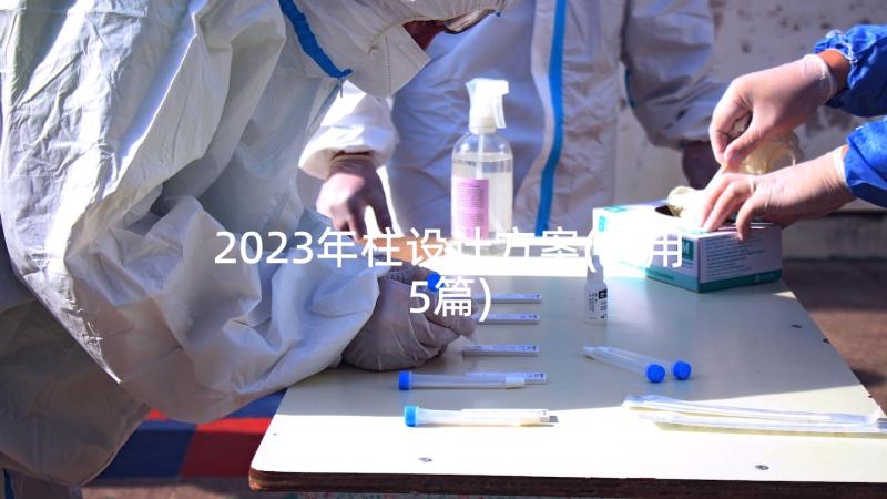 2023年柱设计方案(实用5篇)