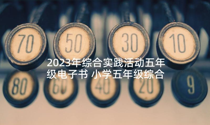 2023年综合实践活动五年级电子书 小学五年级综合实践活动教学计划(通用5篇)