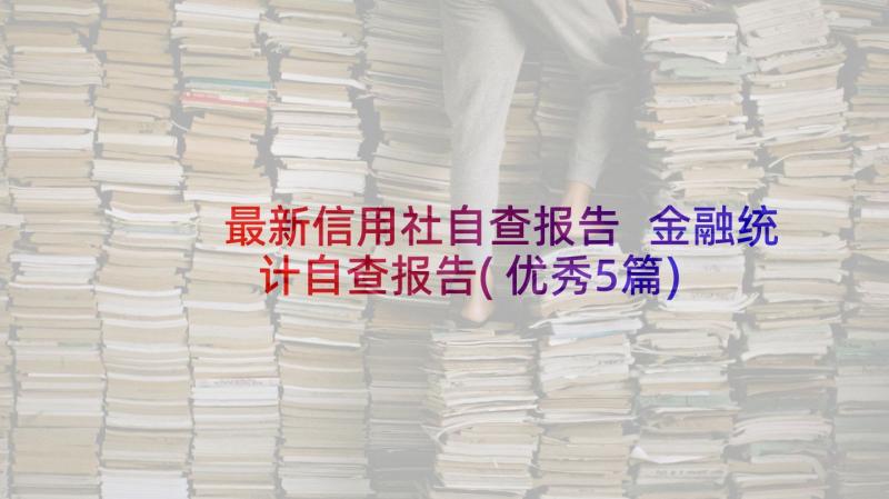 最新信用社自查报告 金融统计自查报告(优秀5篇)