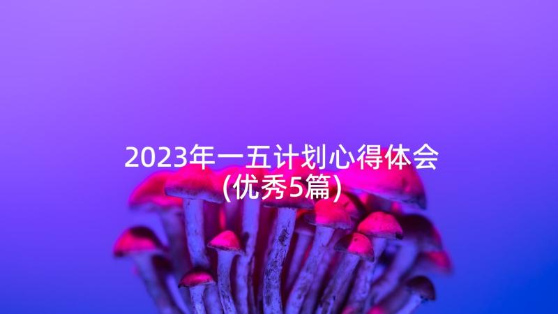 2023年一五计划心得体会(优秀5篇)