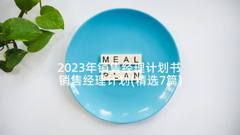 2023年销售经理计划书 销售经理计划(精选7篇)