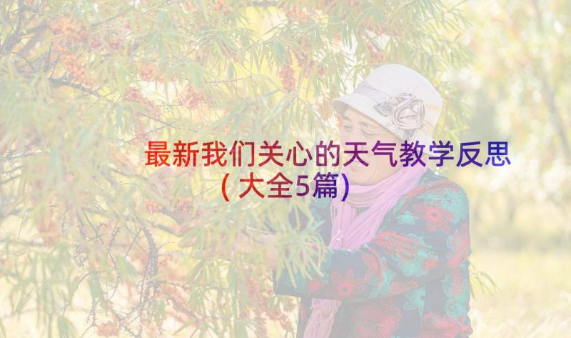 最新我们关心的天气教学反思(大全5篇)