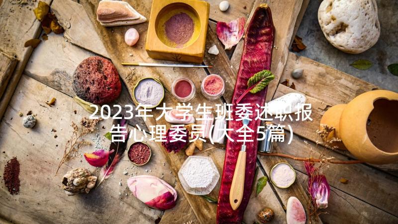 2023年大学生班委述职报告心理委员(大全5篇)