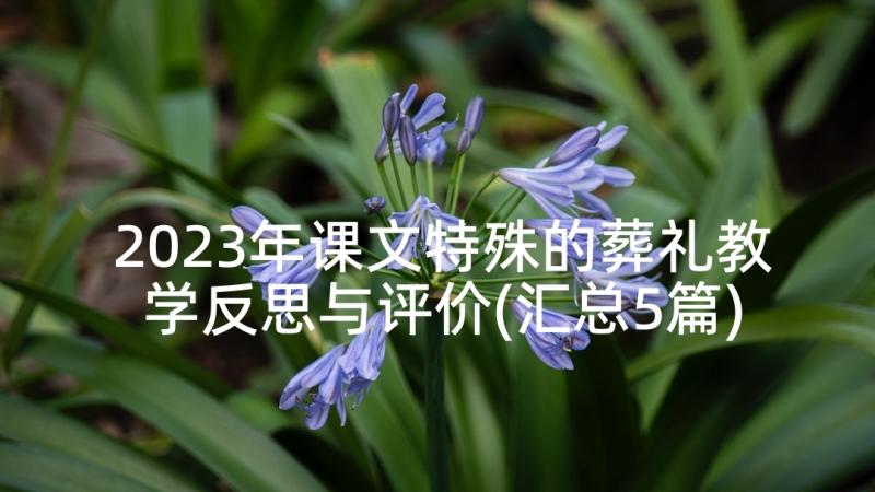 2023年课文特殊的葬礼教学反思与评价(汇总5篇)