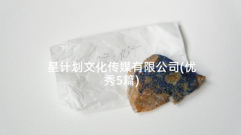 星计划文化传媒有限公司(优秀5篇)