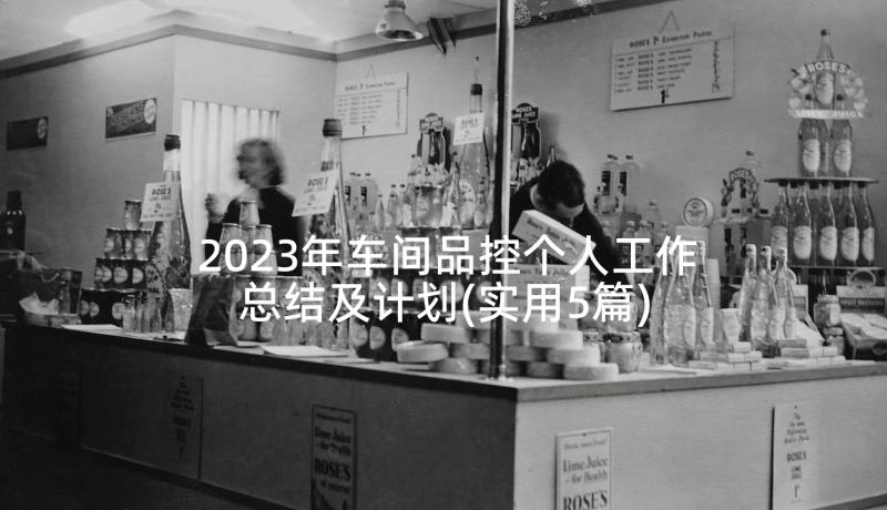 2023年车间品控个人工作总结及计划(实用5篇)