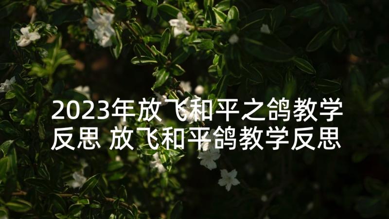 2023年放飞和平之鸽教学反思 放飞和平鸽教学反思(实用5篇)