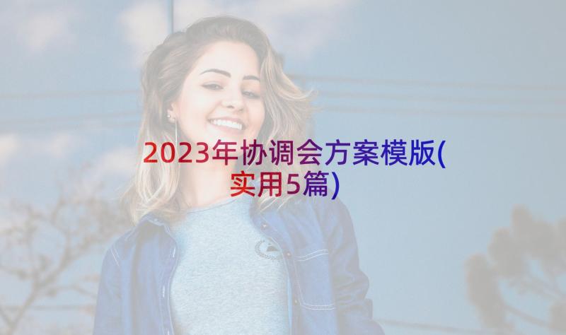 2023年协调会方案模版(实用5篇)