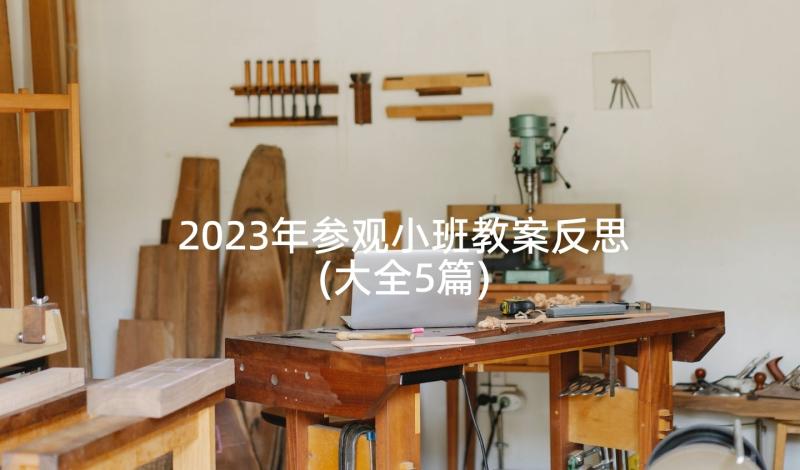 2023年参观小班教案反思(大全5篇)