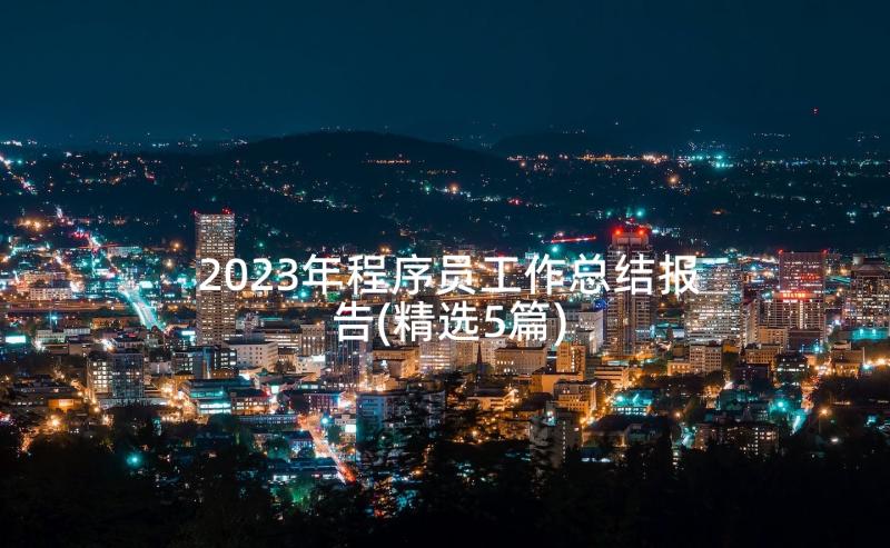 2023年程序员工作总结报告(精选5篇)