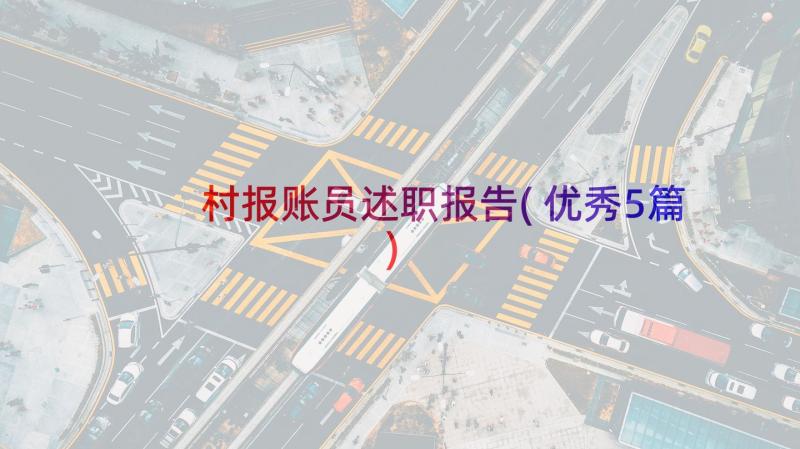 村报账员述职报告(优秀5篇)