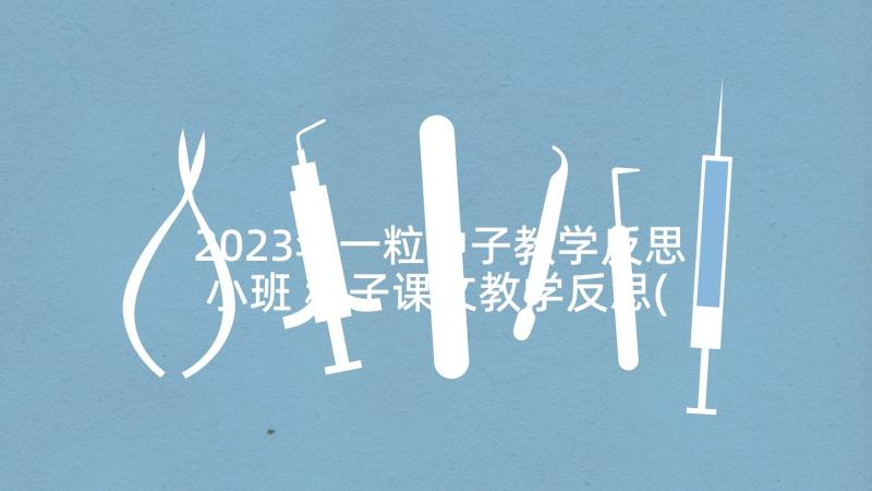 2023年一粒种子教学反思小班 种子课文教学反思(大全9篇)