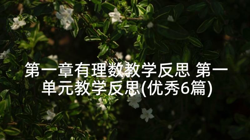 第一章有理数教学反思 第一单元教学反思(优秀6篇)