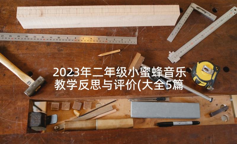 2023年二年级小蜜蜂音乐教学反思与评价(大全5篇)