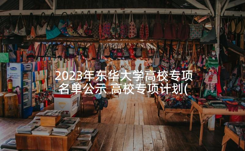 2023年东华大学高校专项名单公示 高校专项计划(优秀9篇)