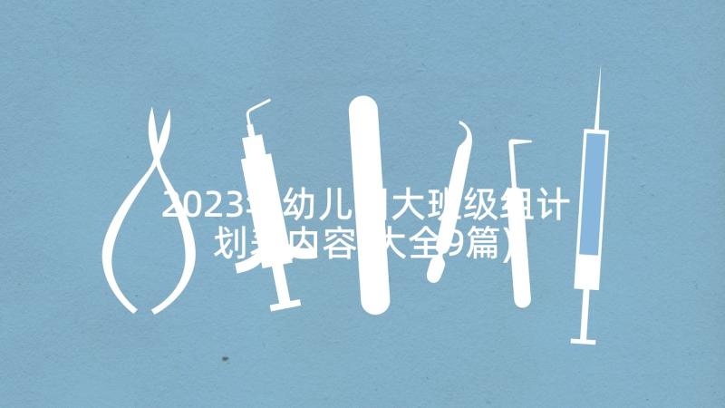 2023年幼儿园大班级组计划表内容(大全9篇)