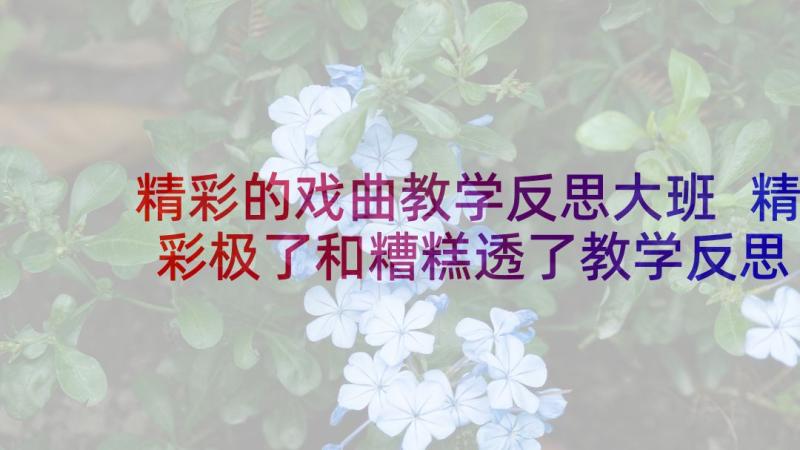 精彩的戏曲教学反思大班 精彩极了和糟糕透了教学反思(优质10篇)