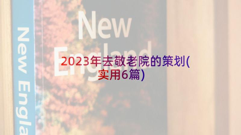 2023年去敬老院的策划(实用6篇)