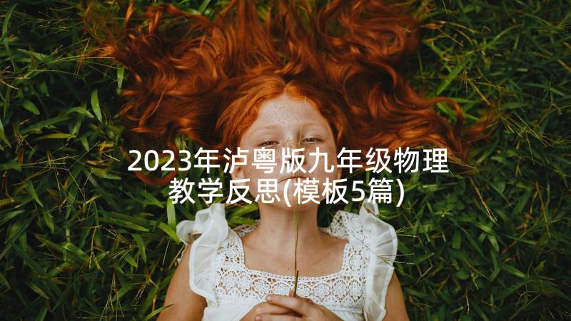 2023年泸粤版九年级物理教学反思(模板5篇)