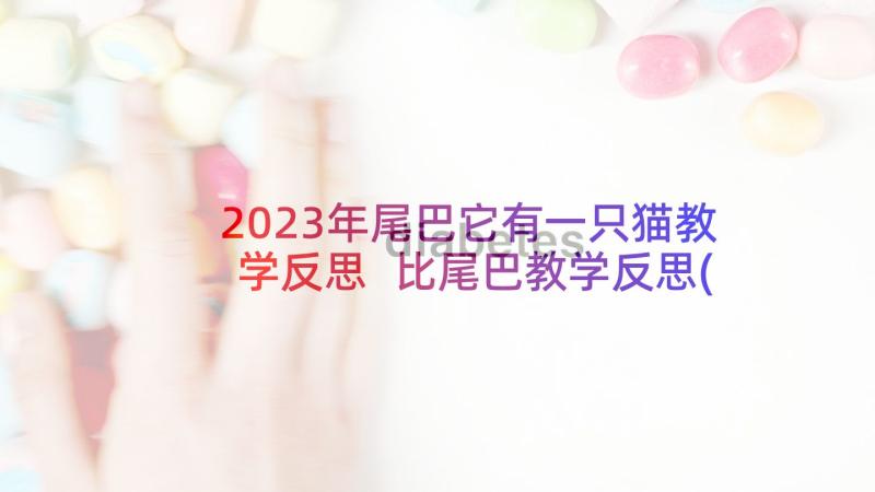 2023年尾巴它有一只猫教学反思 比尾巴教学反思(优秀10篇)