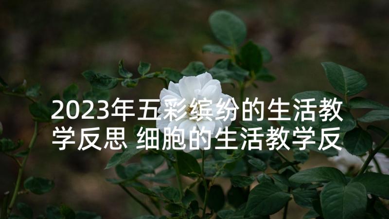 2023年五彩缤纷的生活教学反思 细胞的生活教学反思(汇总8篇)