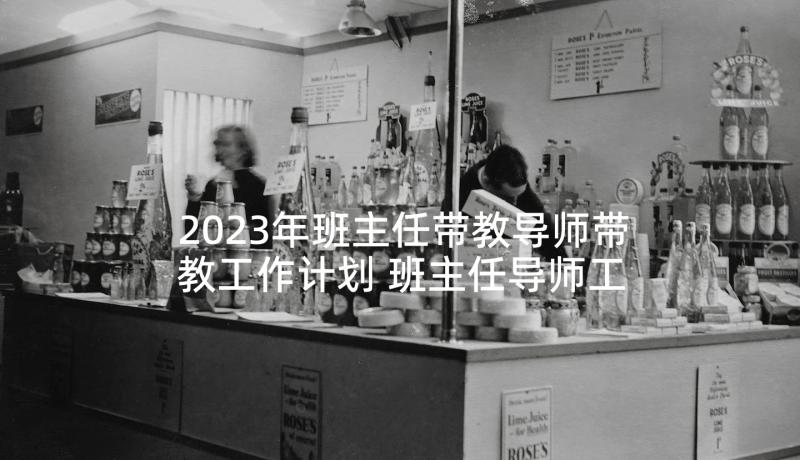 2023年班主任带教导师带教工作计划 班主任导师工作计划(汇总5篇)