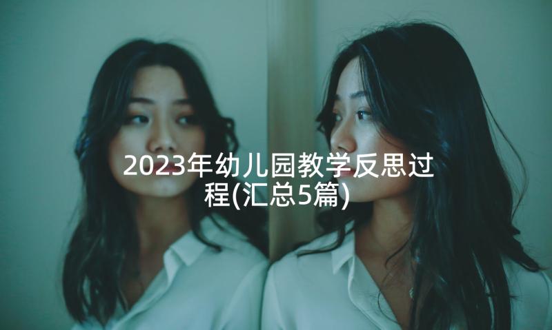 2023年幼儿园教学反思过程(汇总5篇)