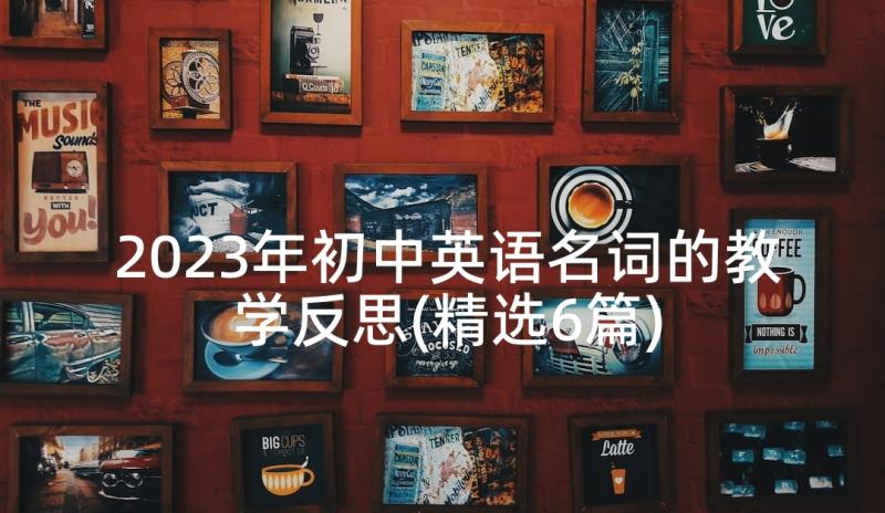 2023年初中英语名词的教学反思(精选6篇)