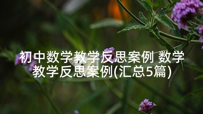 初中数学教学反思案例 数学教学反思案例(汇总5篇)