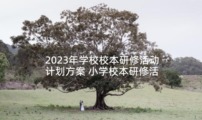 2023年学校校本研修活动计划方案 小学校本研修活动方案(大全5篇)