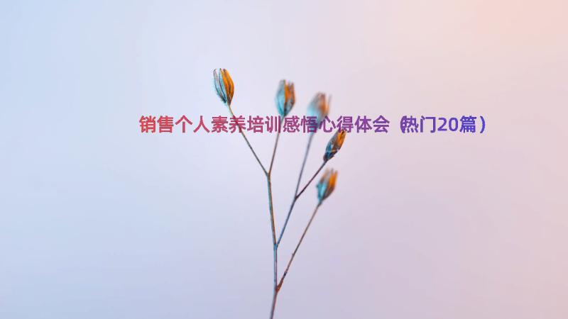 销售个人素养培训感悟心得体会（热门20篇）