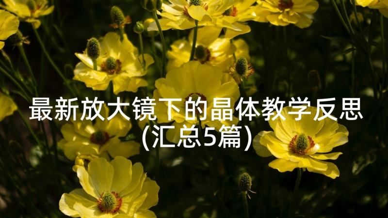 最新放大镜下的晶体教学反思(汇总5篇)