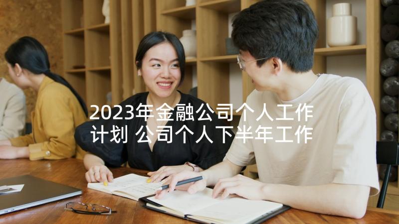 2023年金融公司个人工作计划 公司个人下半年工作计划(大全5篇)