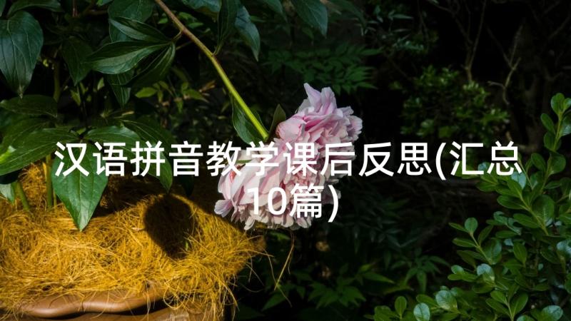 汉语拼音教学课后反思(汇总10篇)