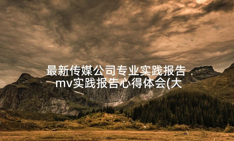 最新传媒公司专业实践报告 mv实践报告心得体会(大全5篇)