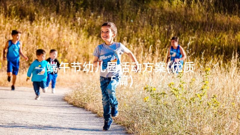 端午节幼儿园活动方案(优质5篇)