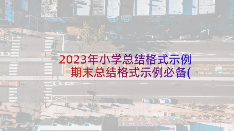 2023年小学总结格式示例 期末总结格式示例必备(优秀5篇)