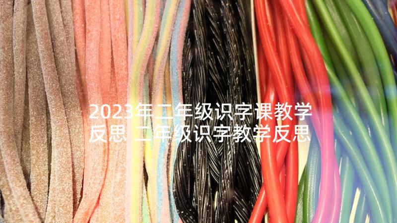 2023年二年级识字课教学反思 二年级识字教学反思(大全6篇)