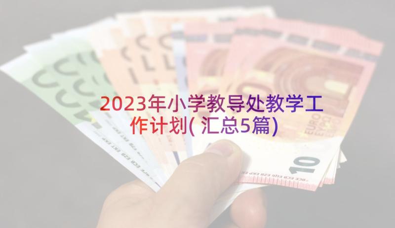 2023年小学教导处教学工作计划(汇总5篇)