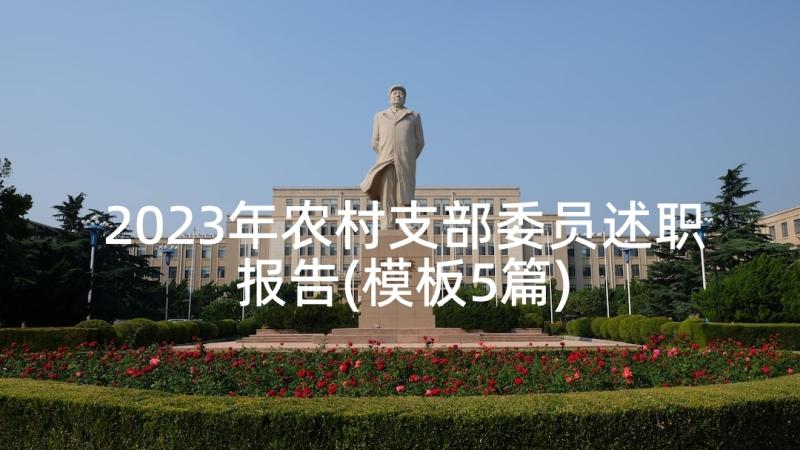 2023年农村支部委员述职报告(模板5篇)