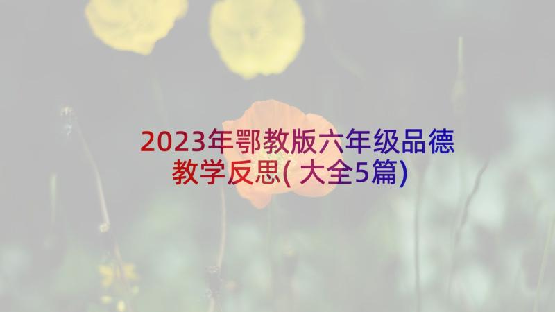 2023年鄂教版六年级品德教学反思(大全5篇)