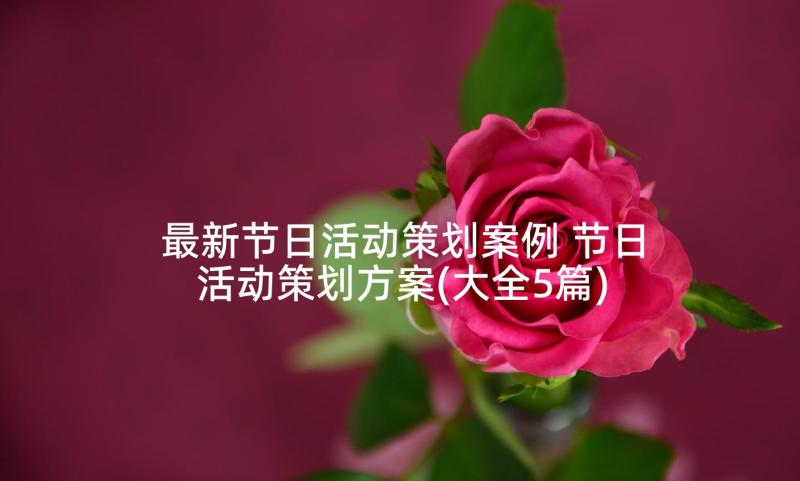 最新节日活动策划案例 节日活动策划方案(大全5篇)