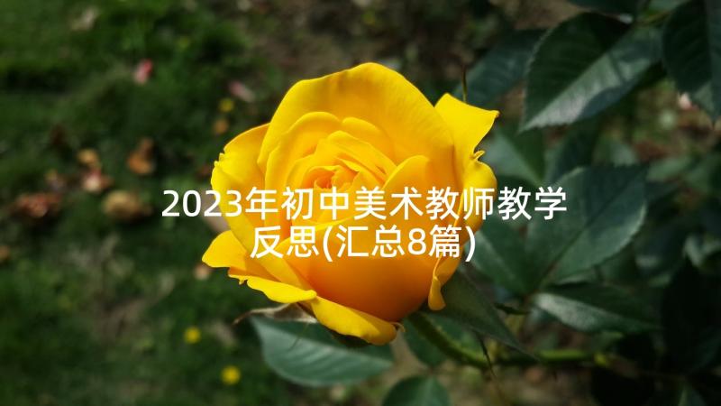 2023年初中美术教师教学反思(汇总8篇)