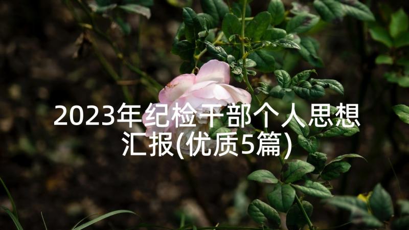 2023年纪检干部个人思想汇报(优质5篇)