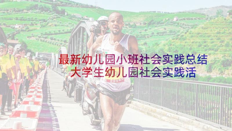 最新幼儿园小班社会实践总结 大学生幼儿园社会实践活动总结(模板5篇)